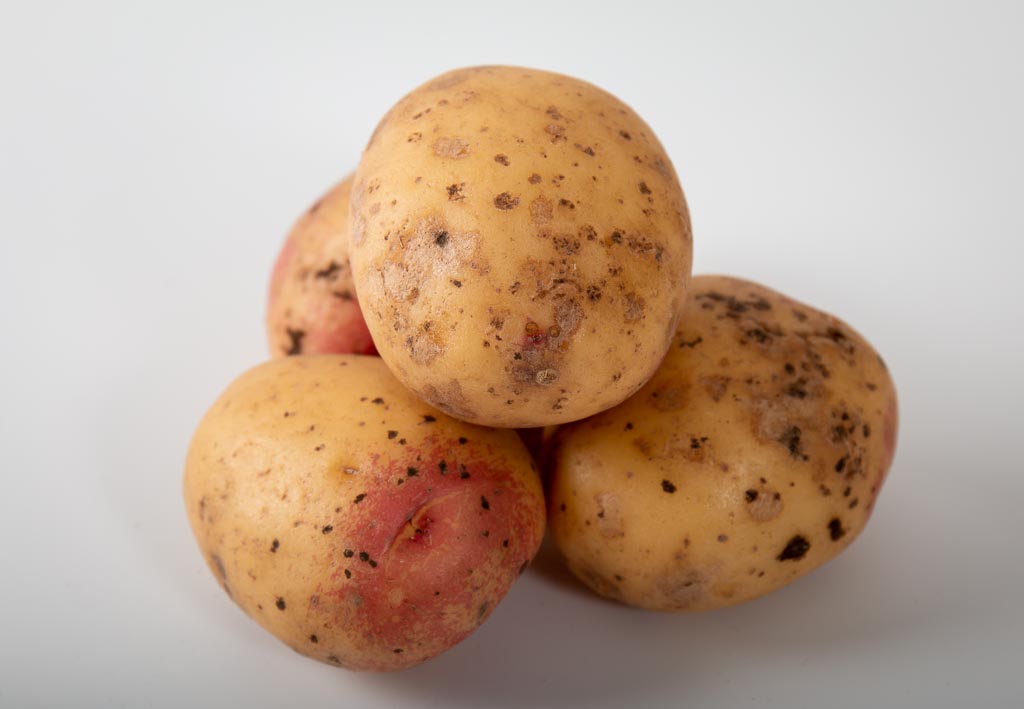Potatis till en gratäng